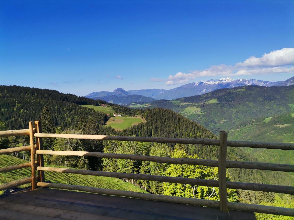 Farmstay&Glamping Visocnik Ljubno Exterior photo