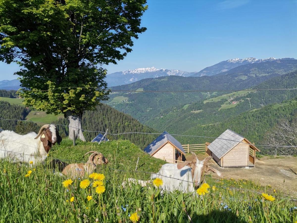 Farmstay&Glamping Visocnik Ljubno Exterior photo