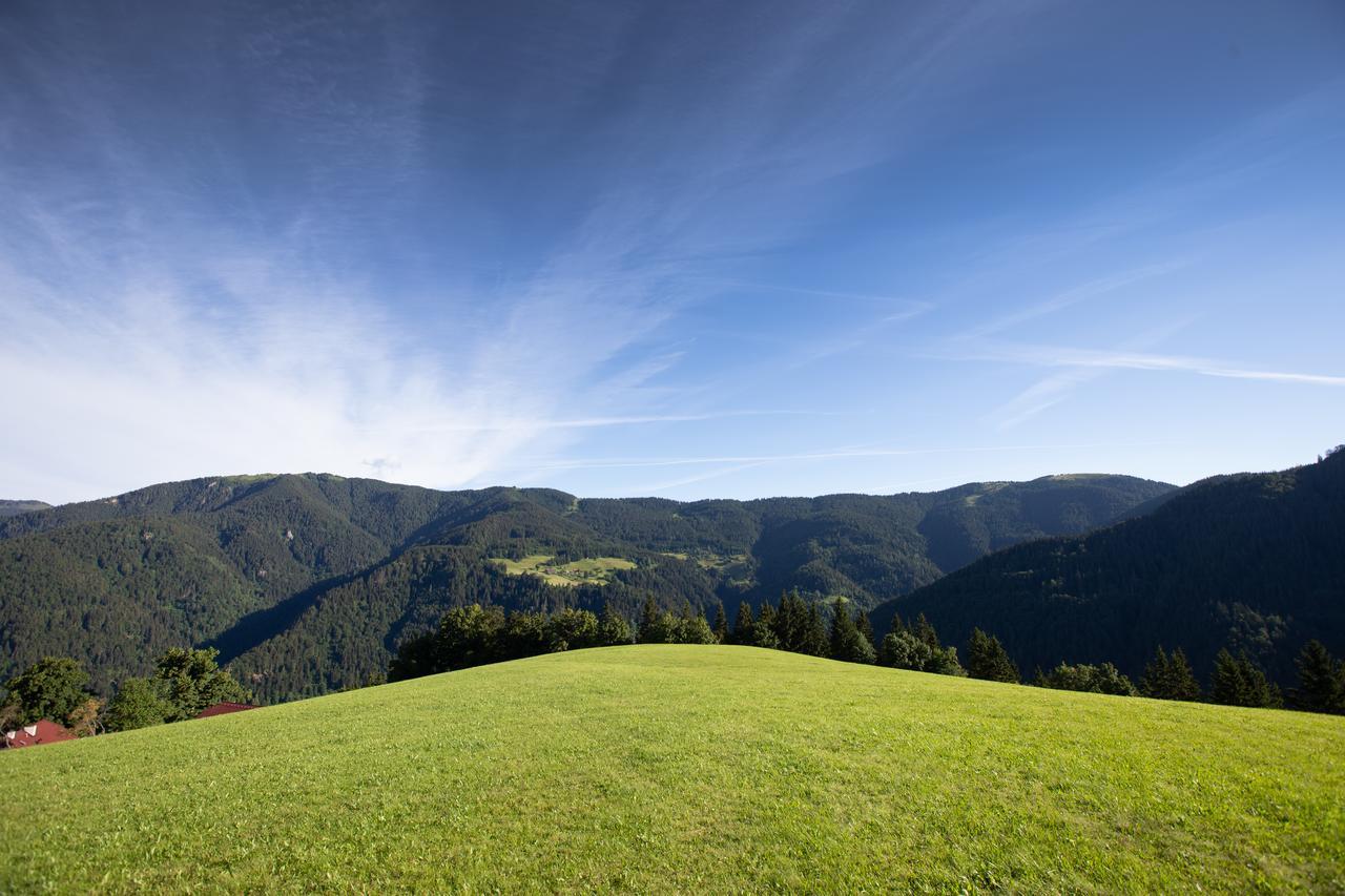 Farmstay&Glamping Visocnik Ljubno Exterior photo