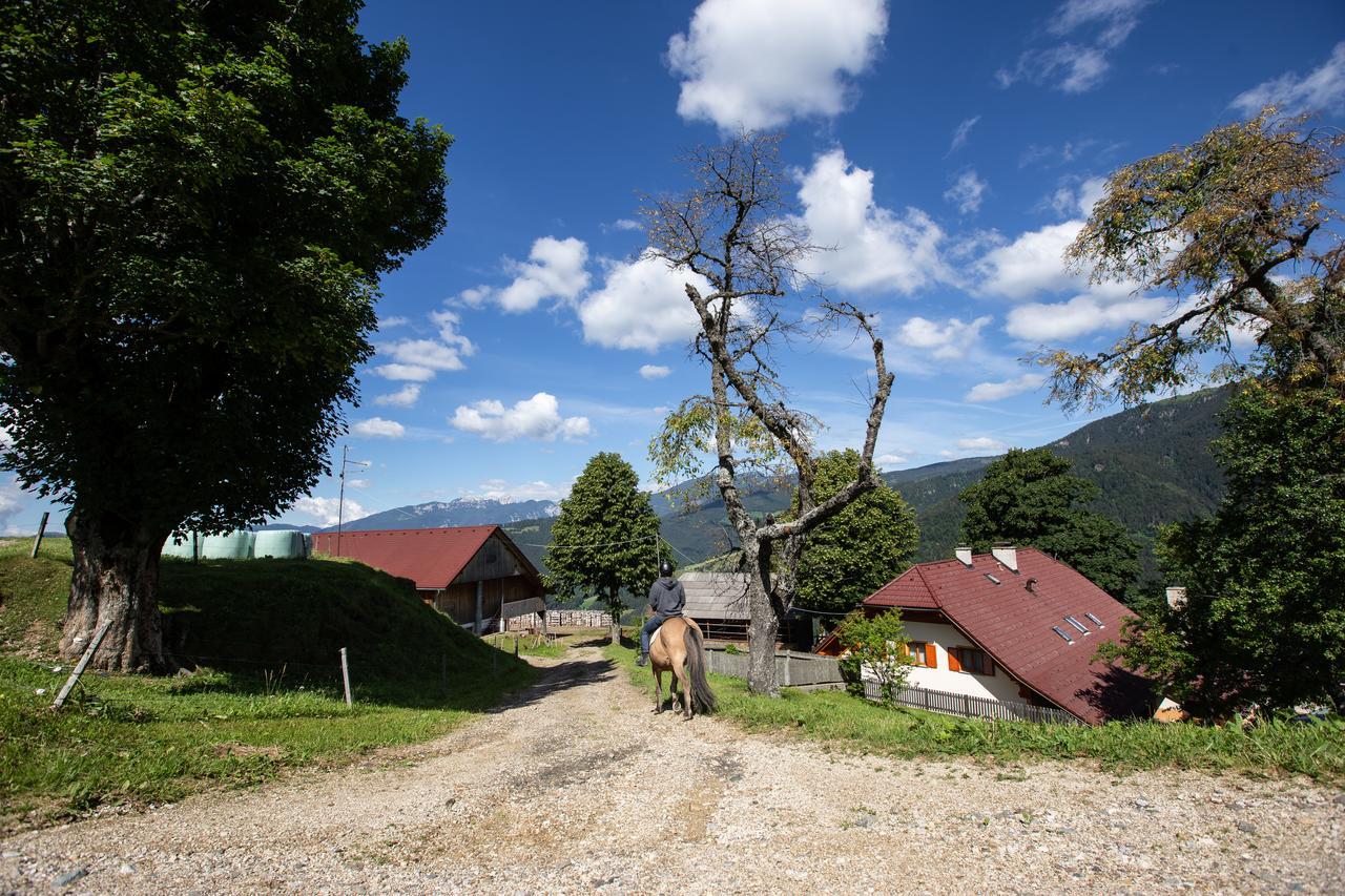 Farmstay&Glamping Visocnik Ljubno Exterior photo