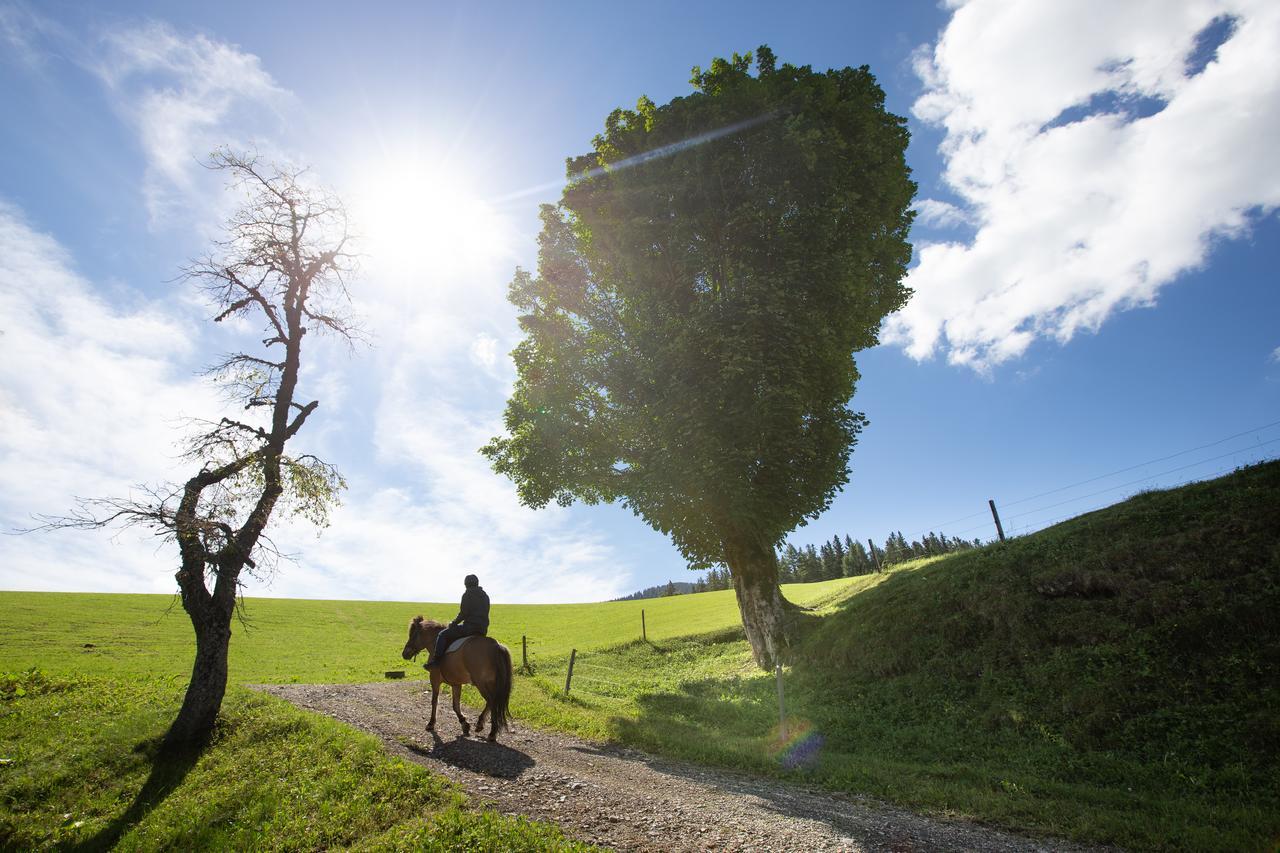 Farmstay&Glamping Visocnik Ljubno Exterior photo
